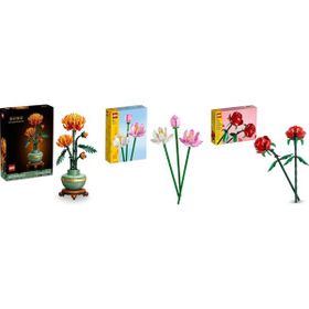 Lego 10368 + 40647 + 40460 Botanicals Seti 118