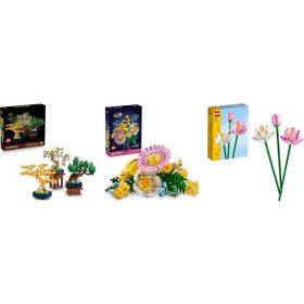 Lego 10373 + 10347 + 40647 Botanicals Seti 180