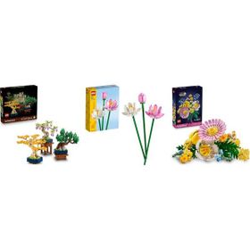 Lego 10373 + 40647 + 10347 Botanicals Seti 157