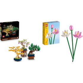 Lego 10373 + 40647 Botanicals Seti