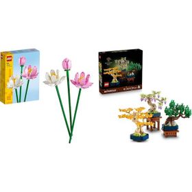 Lego 10373 + 40647 Botanicals Seti