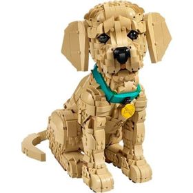 Lego 11384 Icons Yavru Golden Retriever 18+ Yaş 2102 Parça