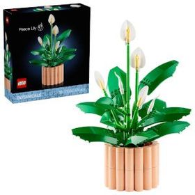 Lego 11504 Botanicals Barış Çiçeği