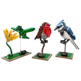 Lego 21301 Ideas Birds