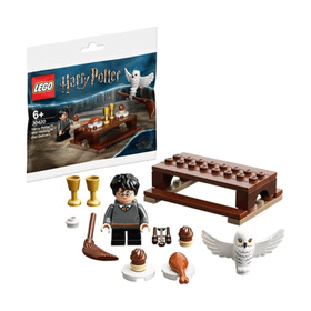 LEGO 30420 Harry Potter™ ve Hedwig™: Baykuş Teslimat