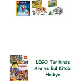 Lego 30692 + 31129 + 31171 Creator Seti 104