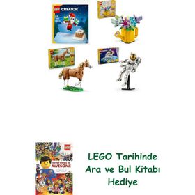 Lego 30692 + 31149 + 31166 + 31152 Creator Seti 208