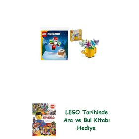 Lego 30692 + 31149 Creator Seti 45