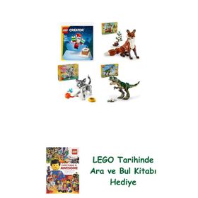 Lego 30692 + 31154 + 31163 + 31151 Creator Seti 228