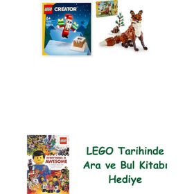 Lego 30692 + 31154 Creator Seti 65