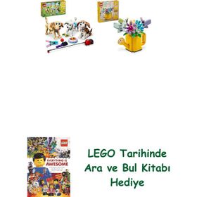 Lego 31137 + 31149 Creator Seti 74