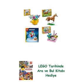 Lego 31149 + 31166 + 30692 + 31169 Creator Seti 264