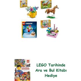 Lego 31149 + 31166 + 30692 + 31169 Creator Seti 264