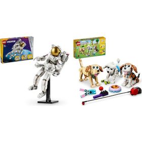 Lego 31152 + 31137 Creator Seti 81