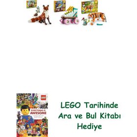 Lego 31154 + 31148 + 31129 Creator Seti 161