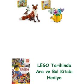 Lego 31154 + 31149 Creator Seti 2
