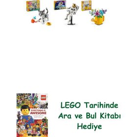 Lego 31163 + 31152 + 31149 Creator Seti 130