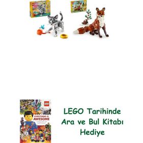 Lego 31163 + 31154 Creator Seti 49