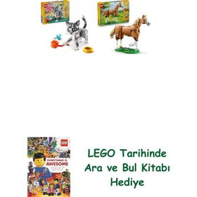 Lego 31163 + 31166 Creator Seti 35