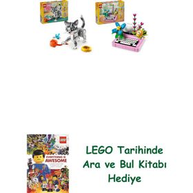 Lego 31163 + 31169 Creator Seti 25