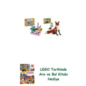 Lego 31169 + 31154 Creator Seti 57