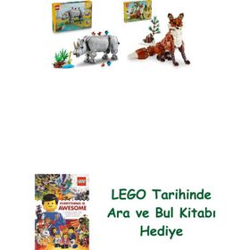 Lego 31171 + 31154 Creator Seti 16
