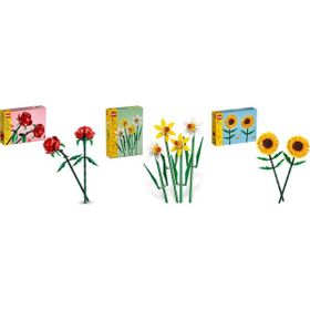Lego 40460 + 40747 + 40524 Botanicals Seti 139