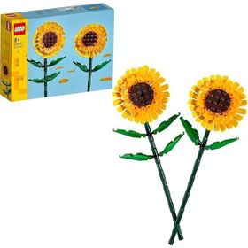 Lego 40524 + 40647 Botanicals Seti