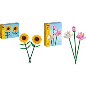 Lego 40524 + 40647 Botanicals Seti