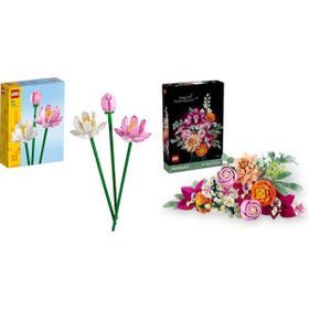 Lego 40647 + 10342 Botanicals Seti 29