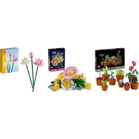 Lego 40647 + 10347 + 10329 Botanicals Seti 164