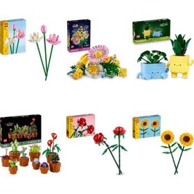Lego 40647 + 10347 + 10349 + 10329 + 40460 + 40524 Botanicals Seti 444