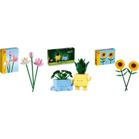 Lego 40647 + 10349 + 40524 Botanicals Seti 107