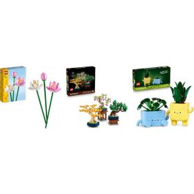 Lego 40647 + 10373 + 10349 Botanicals Seti 155