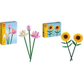 Lego 40647 + 40524 Botanicals Seti 94