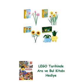 Lego 40647 + 40747 + 40524 + 10349 Botanicals Seti 210