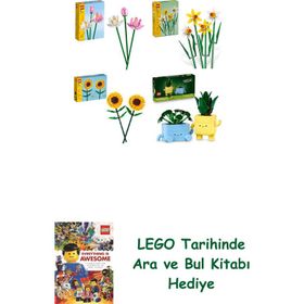 Lego 40647 + 40747 + 40524 + 10349 Botanicals Seti 210