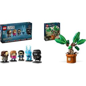 Lego 40677 + 76433 Harry Potter Seti 4