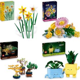 Lego 40747 + 10347 + 10373 + 10349 Botanicals Seti 226