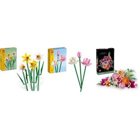 Lego 40747 + 40647 + 10342 Botanicals Seti 167