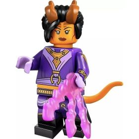 Lego 71047 Dungeons and Dragons Aarakocra Ranger Mini Figürü