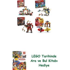 Lego 71831 + 71843 + 71846 + 71826 Ninjago Seti 252