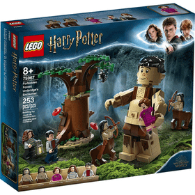 Lego 75967 Harry Potter Yasak Orman Grawp Umbridge Karşılaşması