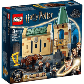 Lego 76387 Harry Potter Hogwarts Fluffy ile Karşılaşma