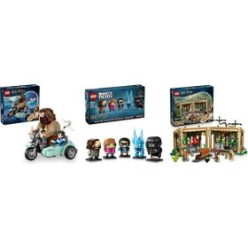 Lego 76443 + 40677 + 76445 Harry Potter Seti 101