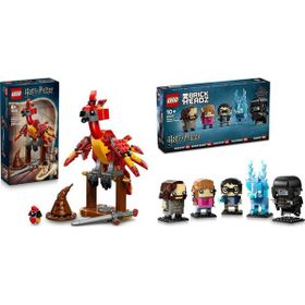 Lego 76448 + 40677 Harry Potter Seti 49