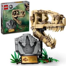 Lego 76964 577 Parça Jurassic World Dinozor Fosilleri: T. Rex Kafatası