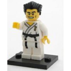 Lego 8684 Seri 2 Minifigür Karate Master