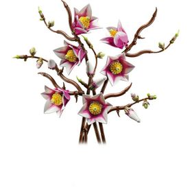 Lego Botanicals 11510 Manolya Dalları