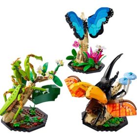 Lego Ideas 21342 1111 Parça Böcek Koleksiyonu